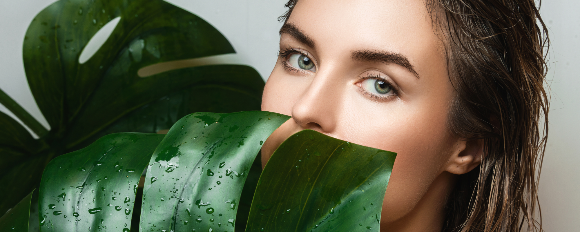 Label Manufacturing - Transparent plastic bottles filled with yellow substance